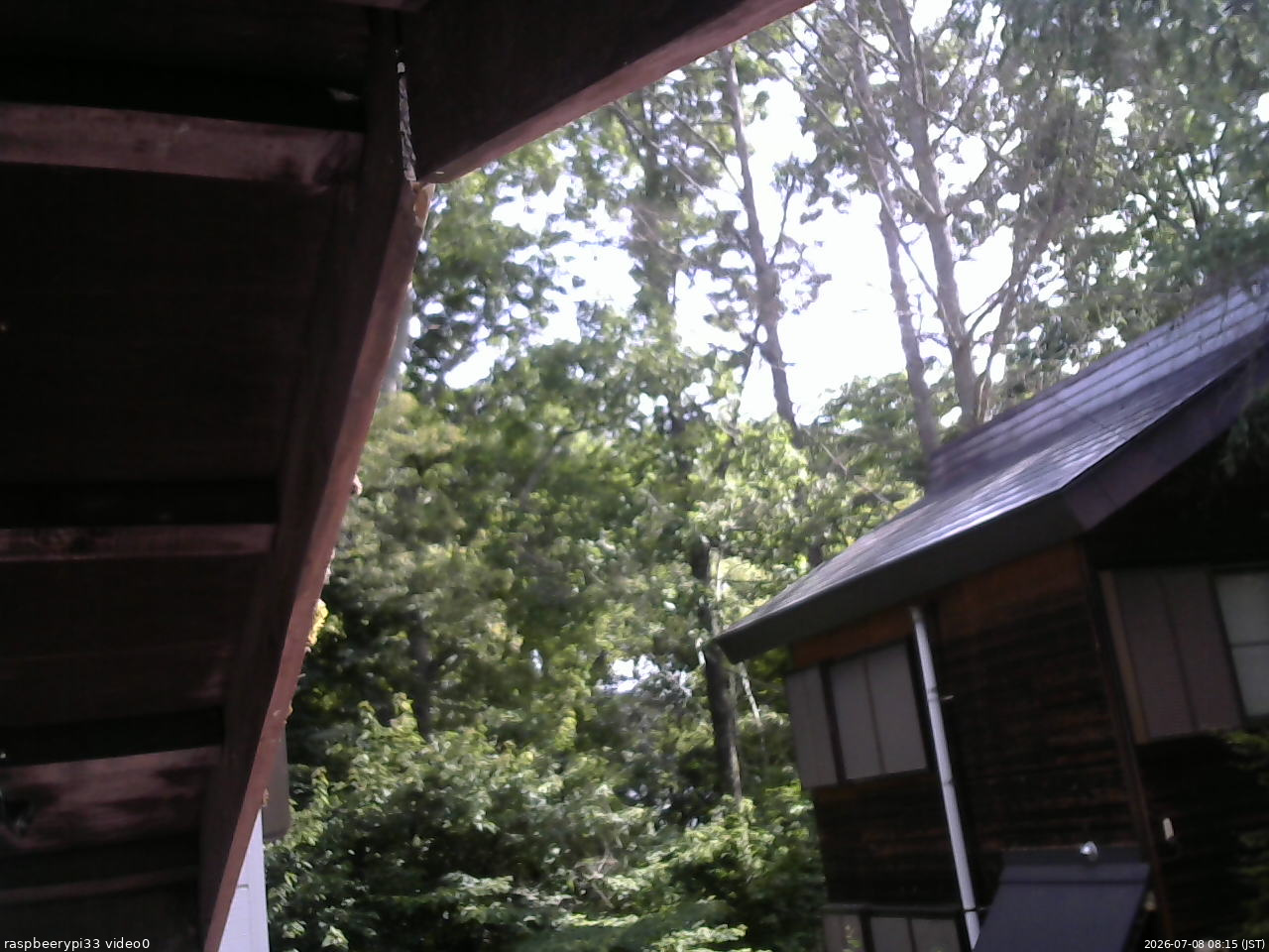 長野県菅平高原 ゆたか山荘 北側 2026/07/08 08:15