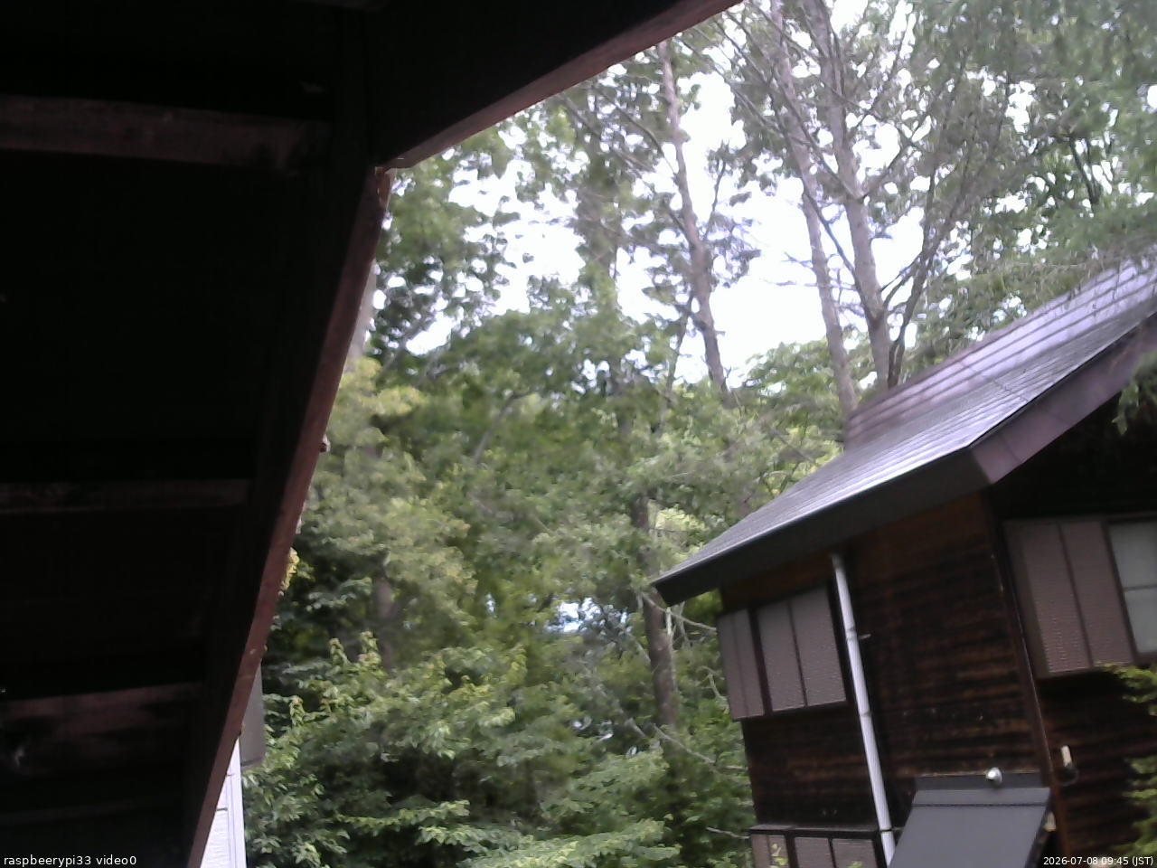長野県菅平高原 ゆたか山荘 北側 2026/07/08 09:45