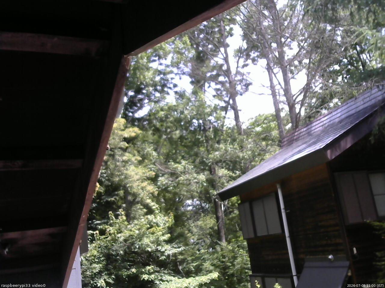 長野県菅平高原 ゆたか山荘 北側 2026/07/08 11:00