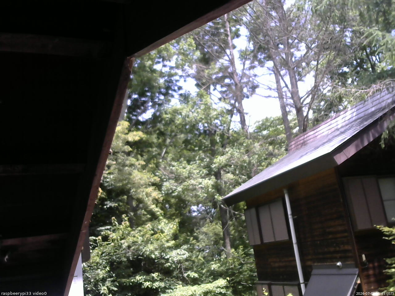 長野県菅平高原 ゆたか山荘 北側 2026/07/08 11:45