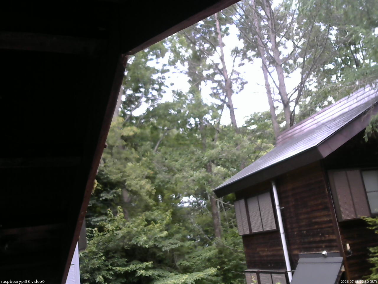 長野県菅平高原 ゆたか山荘 北側 2026/07/08 12:30