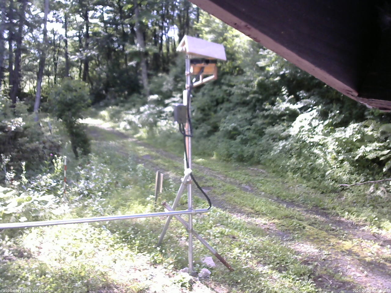 長野県菅平高原 ゆたか山荘 南側 2026/07/08 07:30