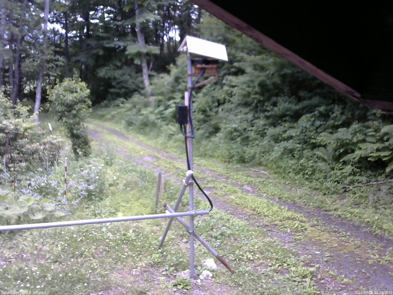 長野県菅平高原 ゆたか山荘 南側 2026/07/08 11:15