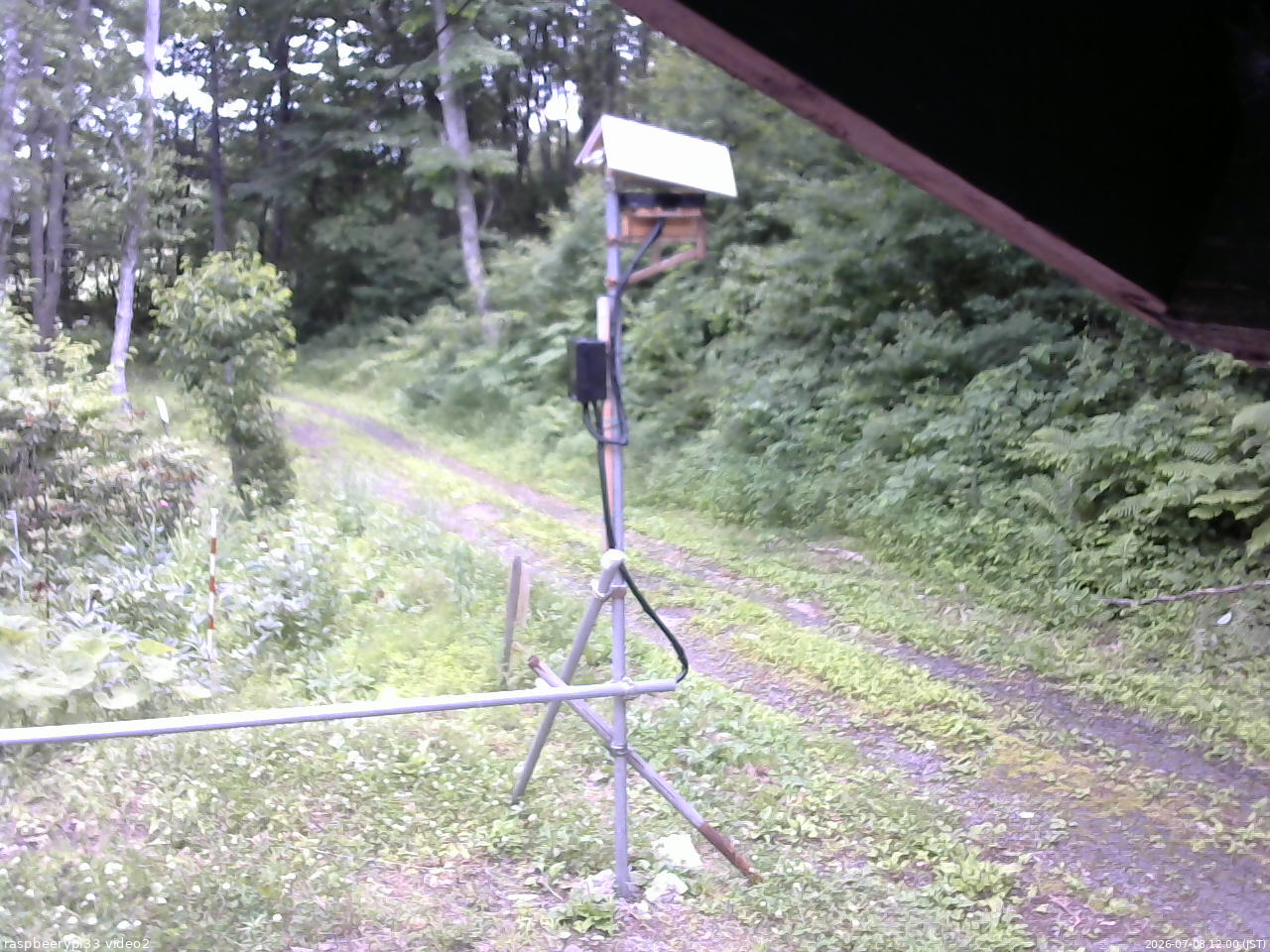 長野県菅平高原 ゆたか山荘 南側 2026/07/08 12:00