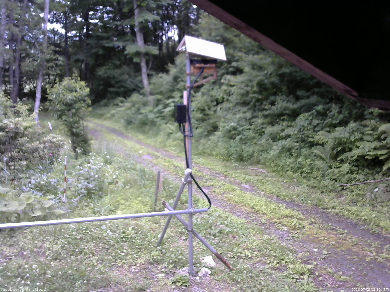 長野県菅平高原 ゆたか山荘 南側 2026/07/08 12:30