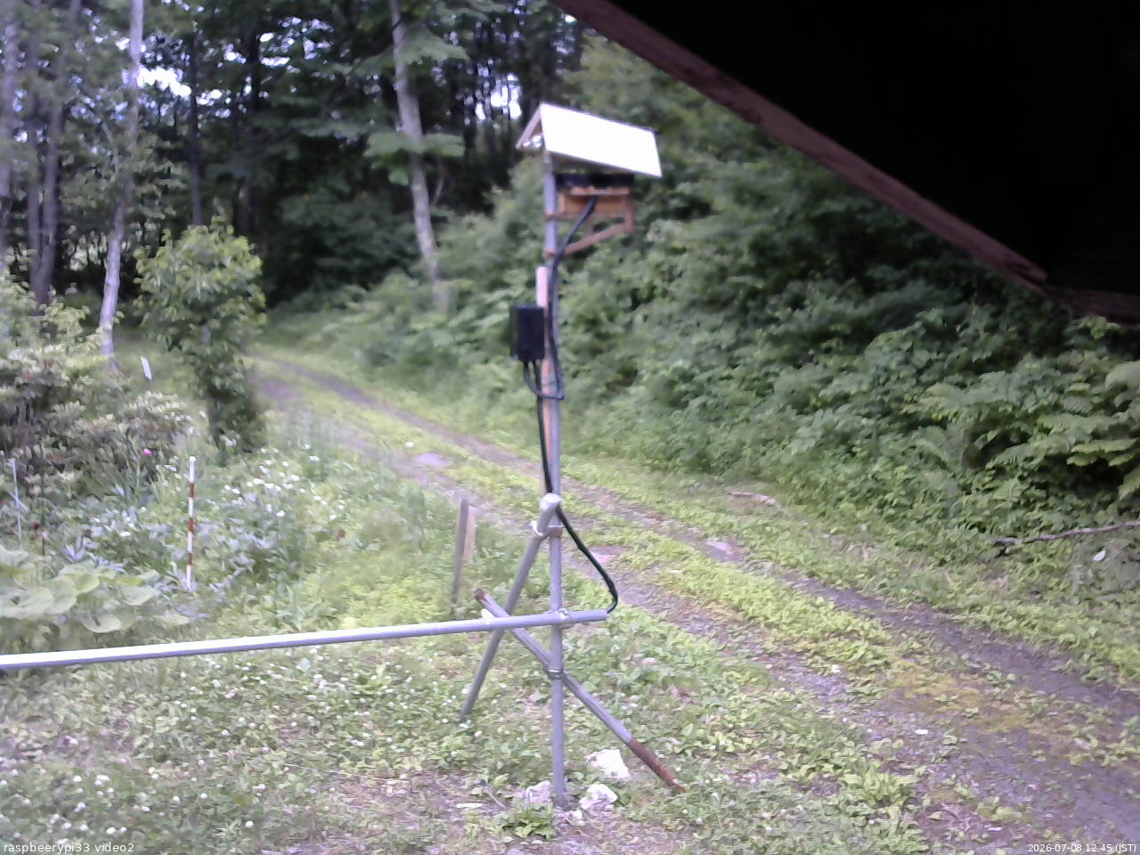 長野県菅平高原 ゆたか山荘 南側 2026/07/08 12:45