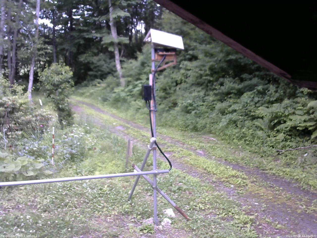 長野県菅平高原 ゆたか山荘 南側 2026/07/08 13:00