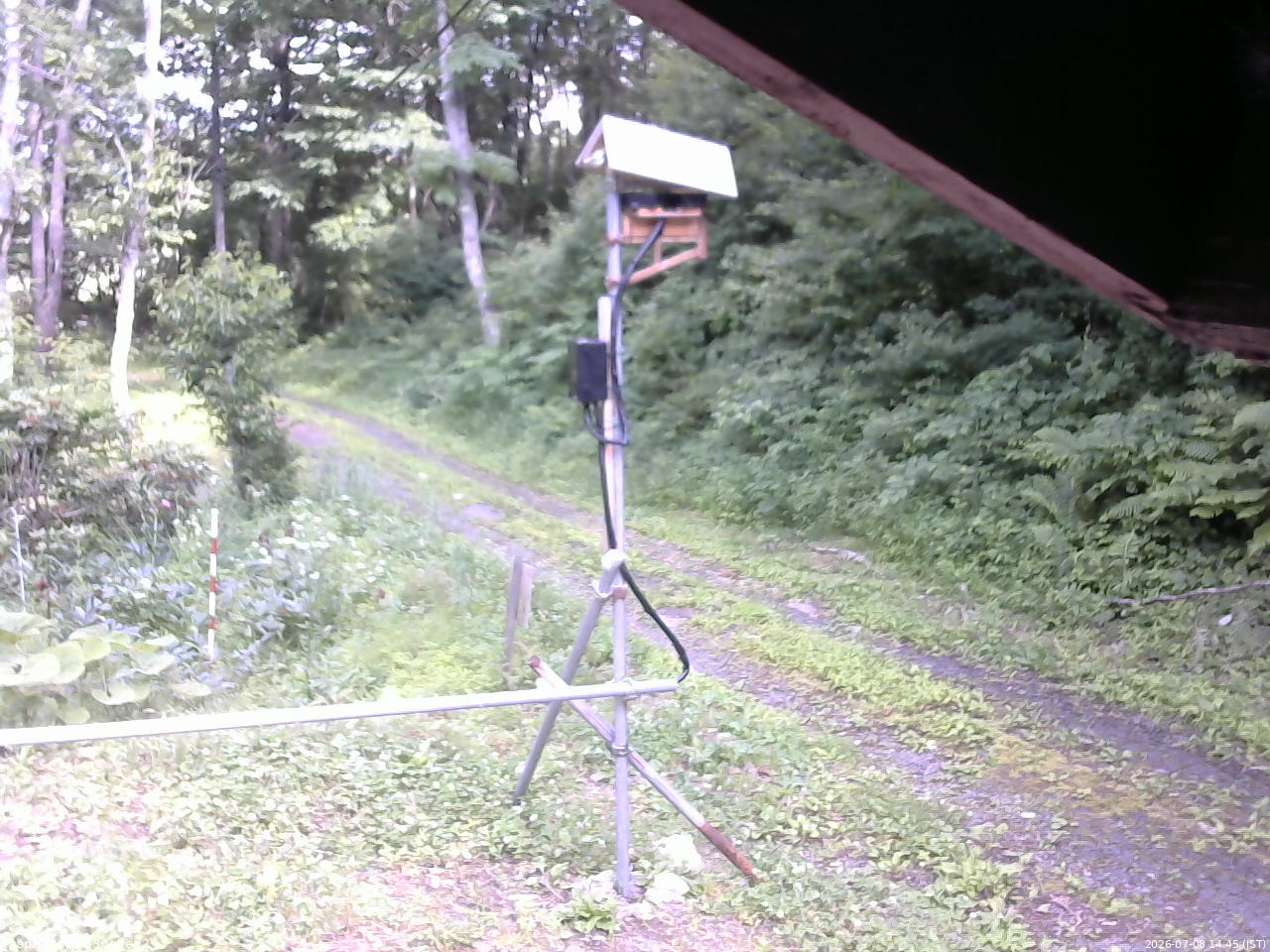 長野県菅平高原 ゆたか山荘 南側 2026/07/08 14:45