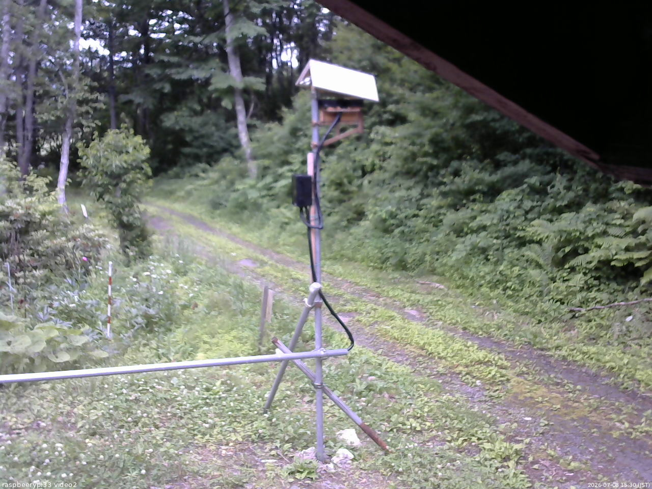長野県菅平高原 ゆたか山荘 南側 2026/07/08 15:30