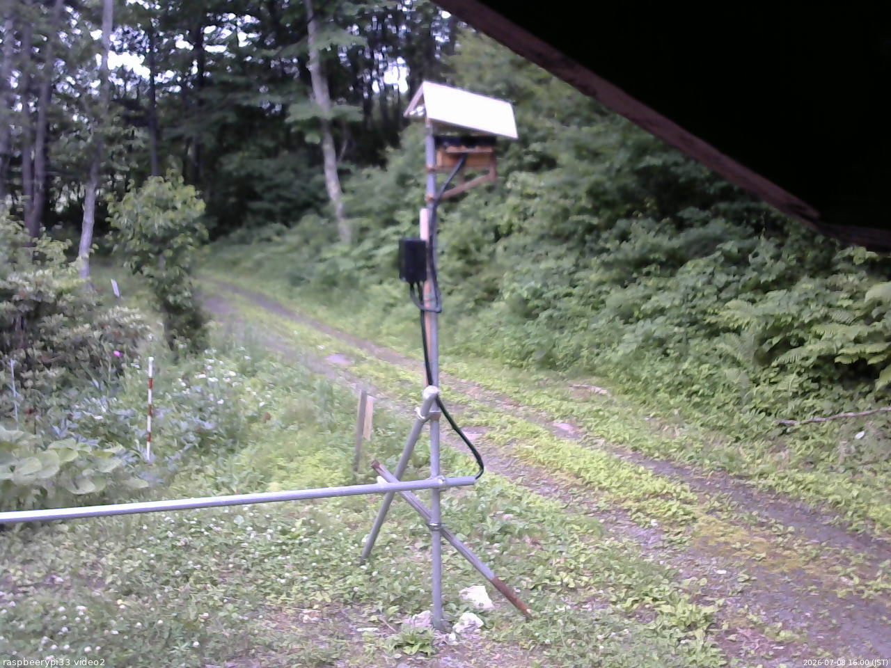 長野県菅平高原 ゆたか山荘 南側 2026/07/08 16:00