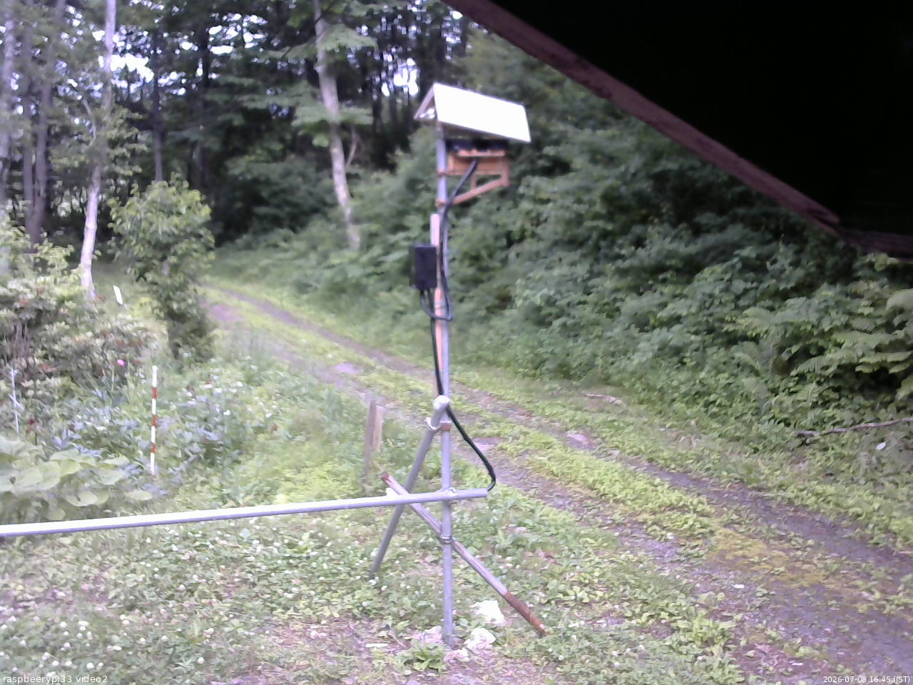 長野県菅平高原 ゆたか山荘 南側 2026/07/08 16:45