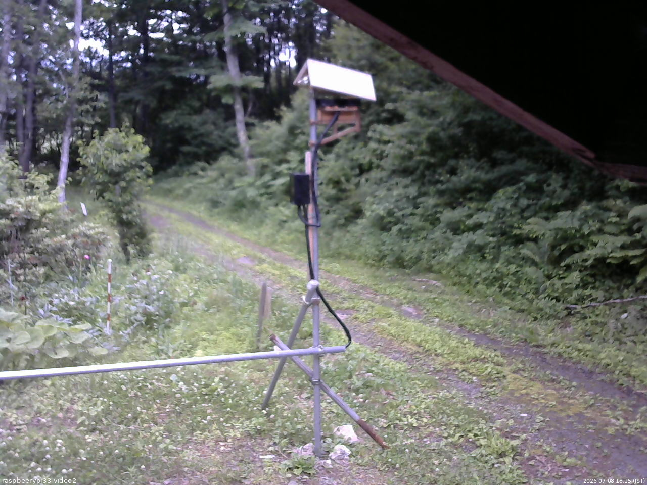 長野県菅平高原 ゆたか山荘 南側 2026/07/08 18:15