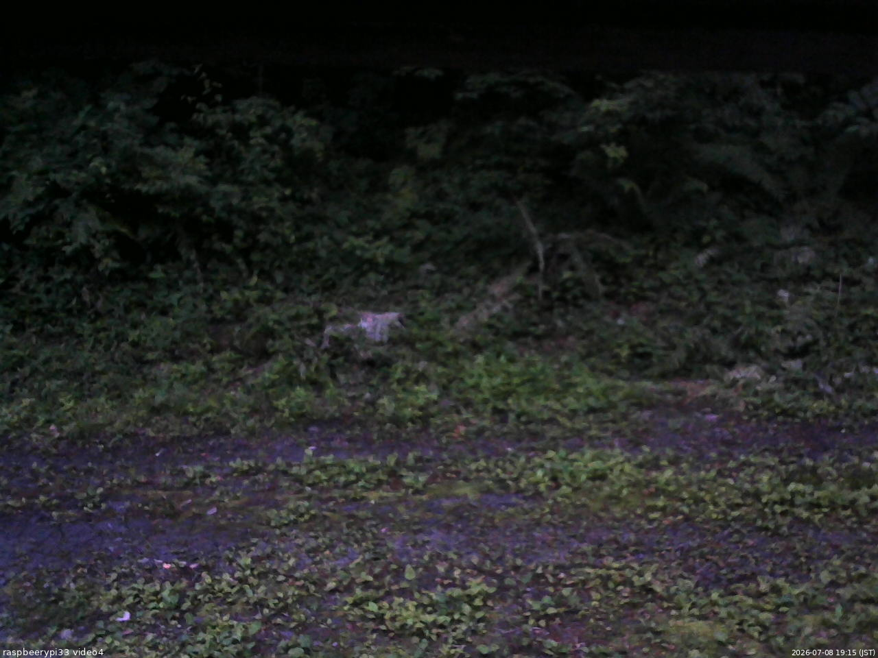 長野県菅平高原 ゆたか山荘 東側(坂下) 2026/07/08 19:15