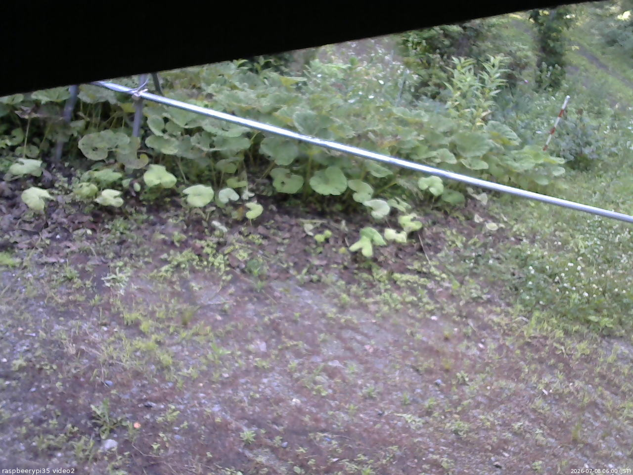 長野県菅平高原 ゆたか山荘 駐車場 2026/07/08 06:00