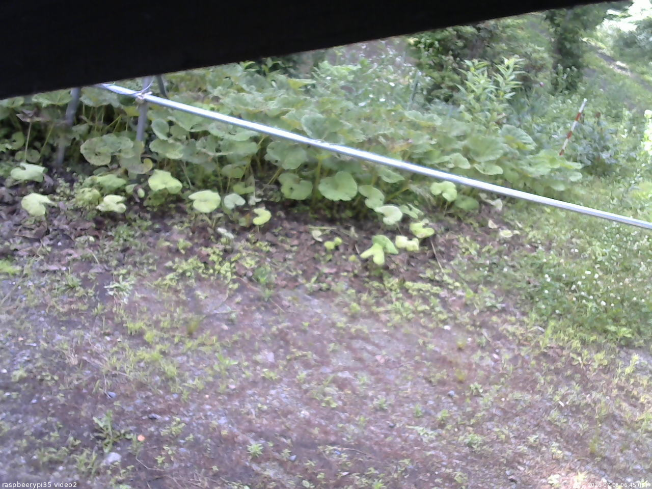 長野県菅平高原 ゆたか山荘 駐車場 2026/07/08 06:45