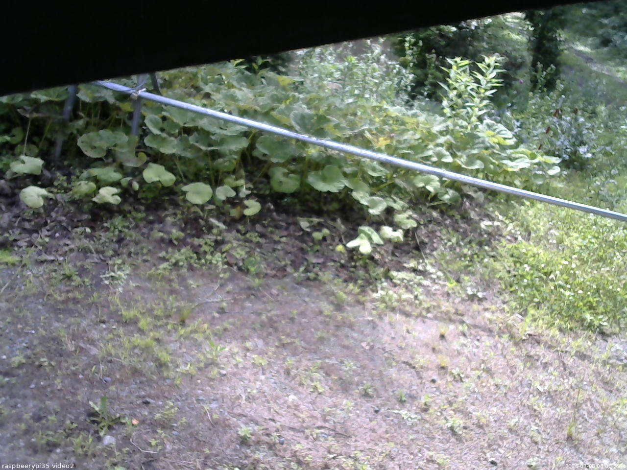 長野県菅平高原 ゆたか山荘 駐車場 2026/07/08 08:00