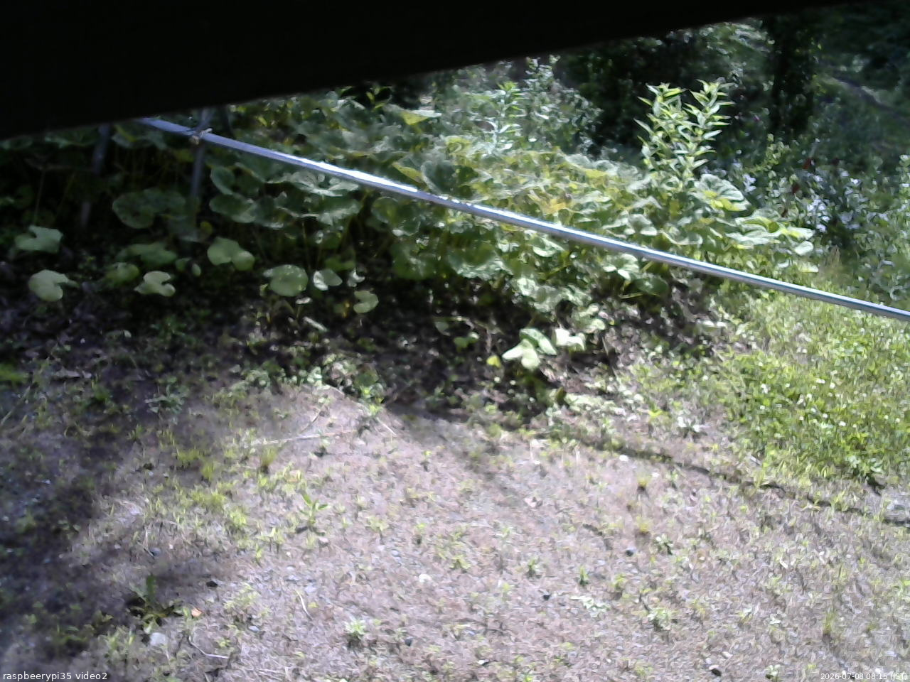 長野県菅平高原 ゆたか山荘 駐車場 2026/07/08 08:15