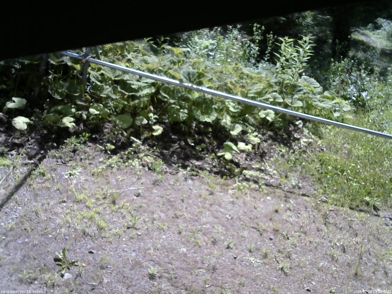 長野県菅平高原 ゆたか山荘 駐車場 2026/07/08 09:00