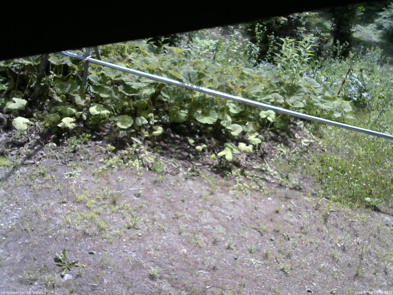 長野県菅平高原 ゆたか山荘 駐車場 2026/07/08 09:30