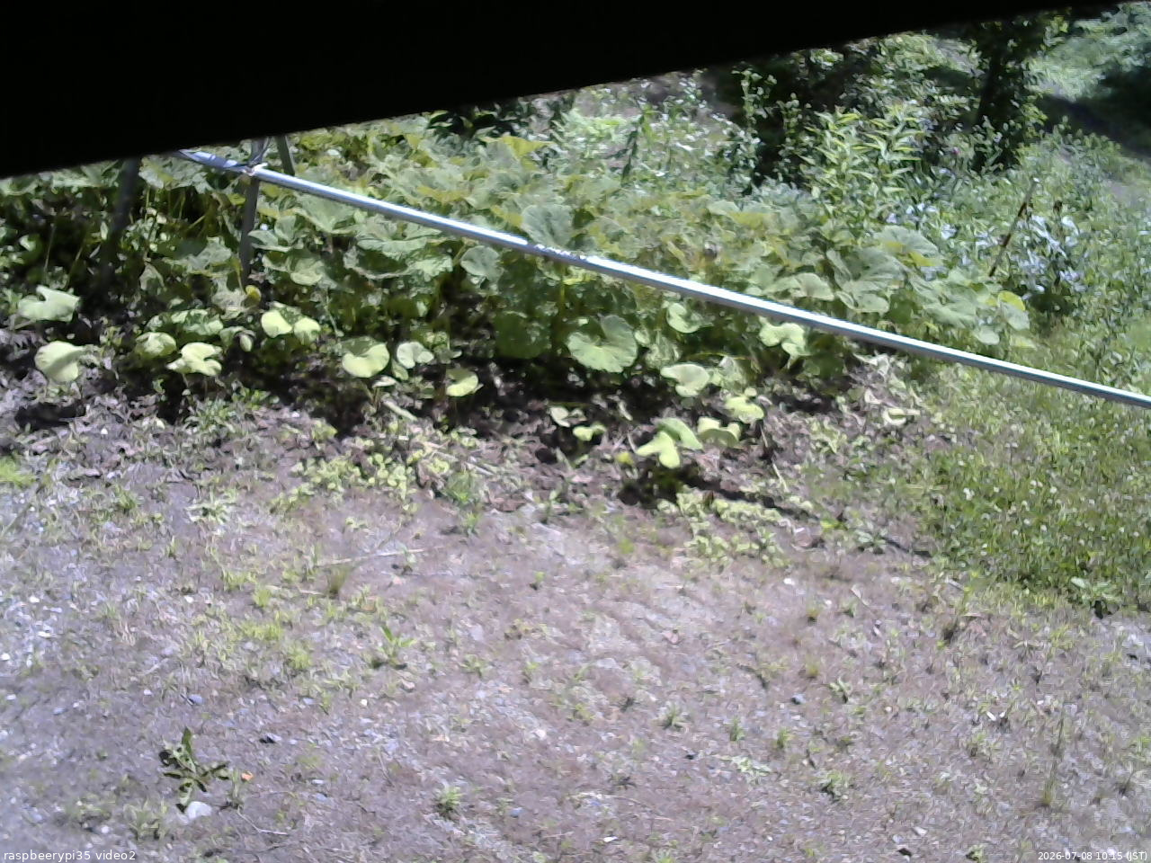 長野県菅平高原 ゆたか山荘 駐車場 2026/07/08 10:15
