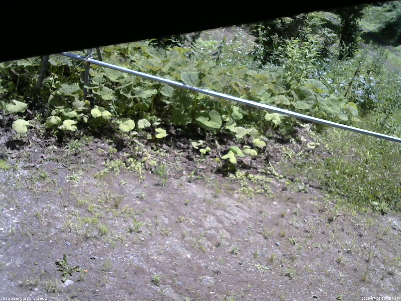 長野県菅平高原 ゆたか山荘 駐車場 2026/07/08 10:45