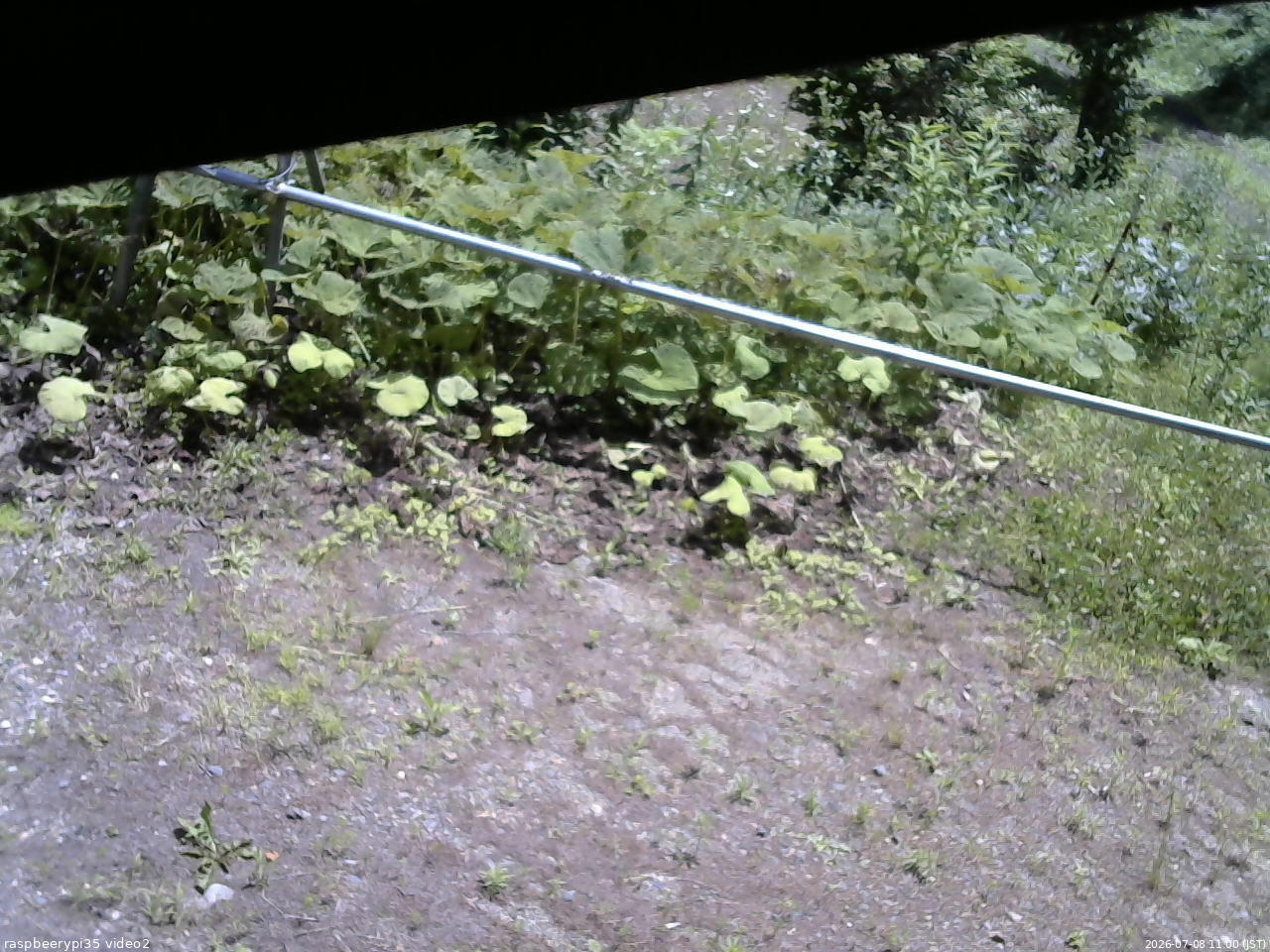 長野県菅平高原 ゆたか山荘 駐車場 2026/07/08 11:00