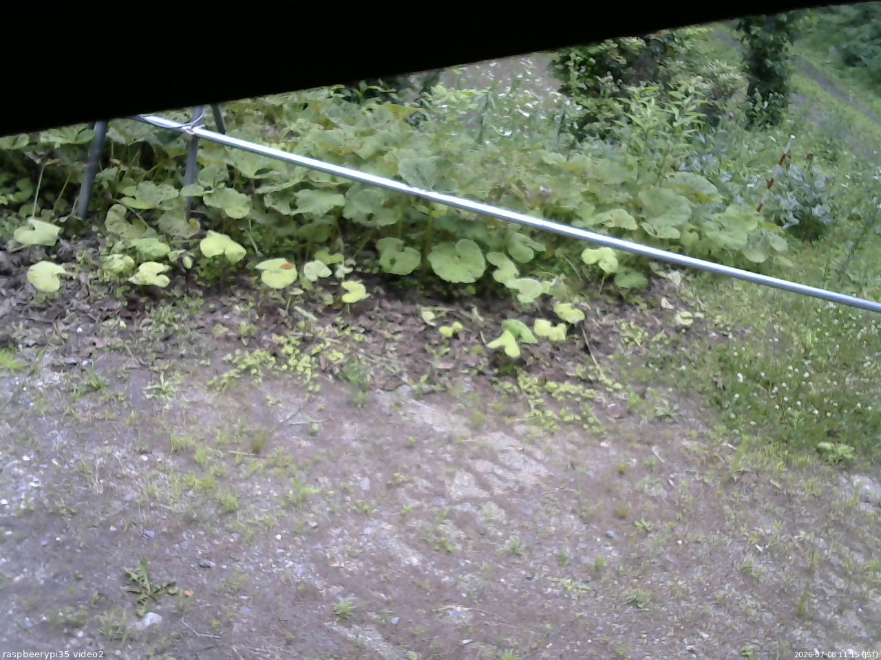 長野県菅平高原 ゆたか山荘 駐車場 2026/07/08 11:15
