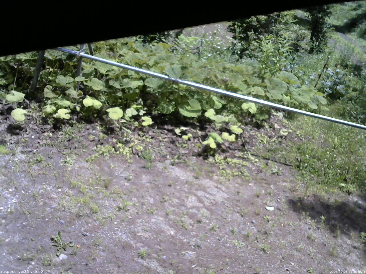 長野県菅平高原 ゆたか山荘 駐車場 2026/07/08 11:30