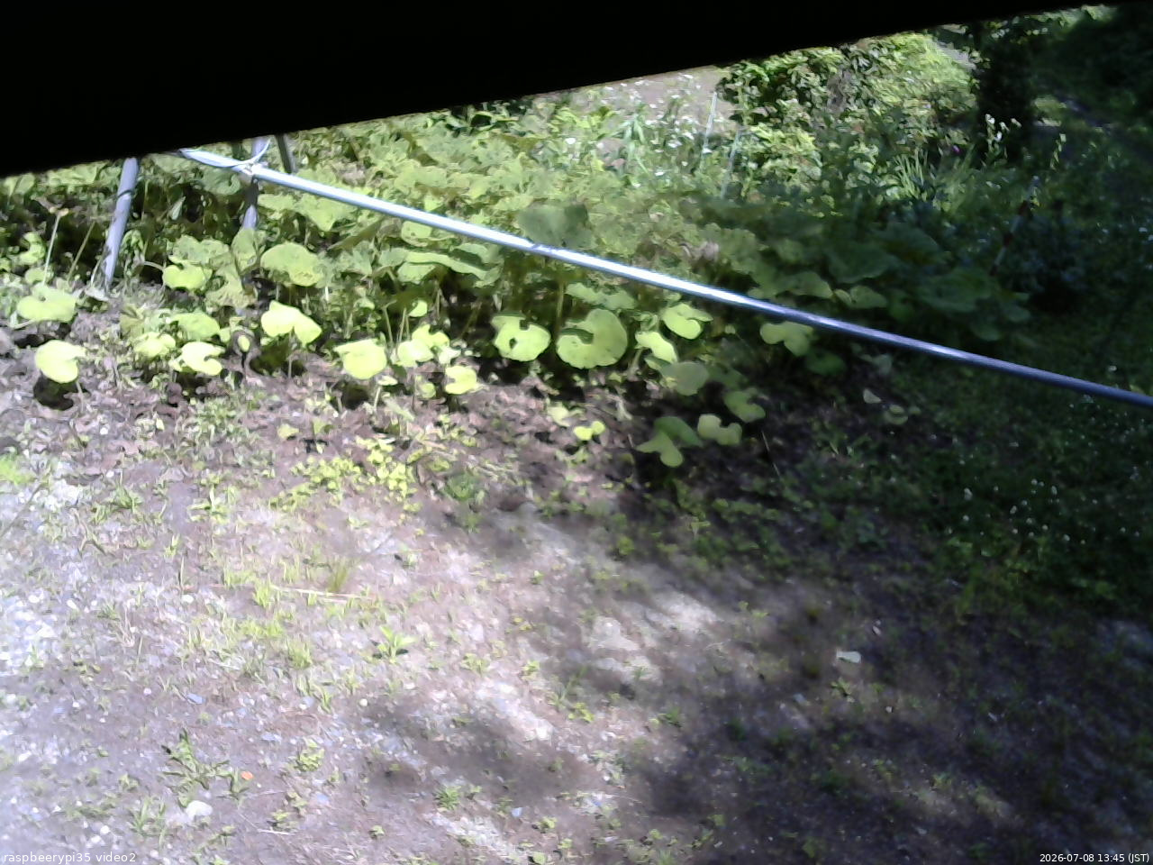 長野県菅平高原 ゆたか山荘 駐車場 2026/07/08 13:45