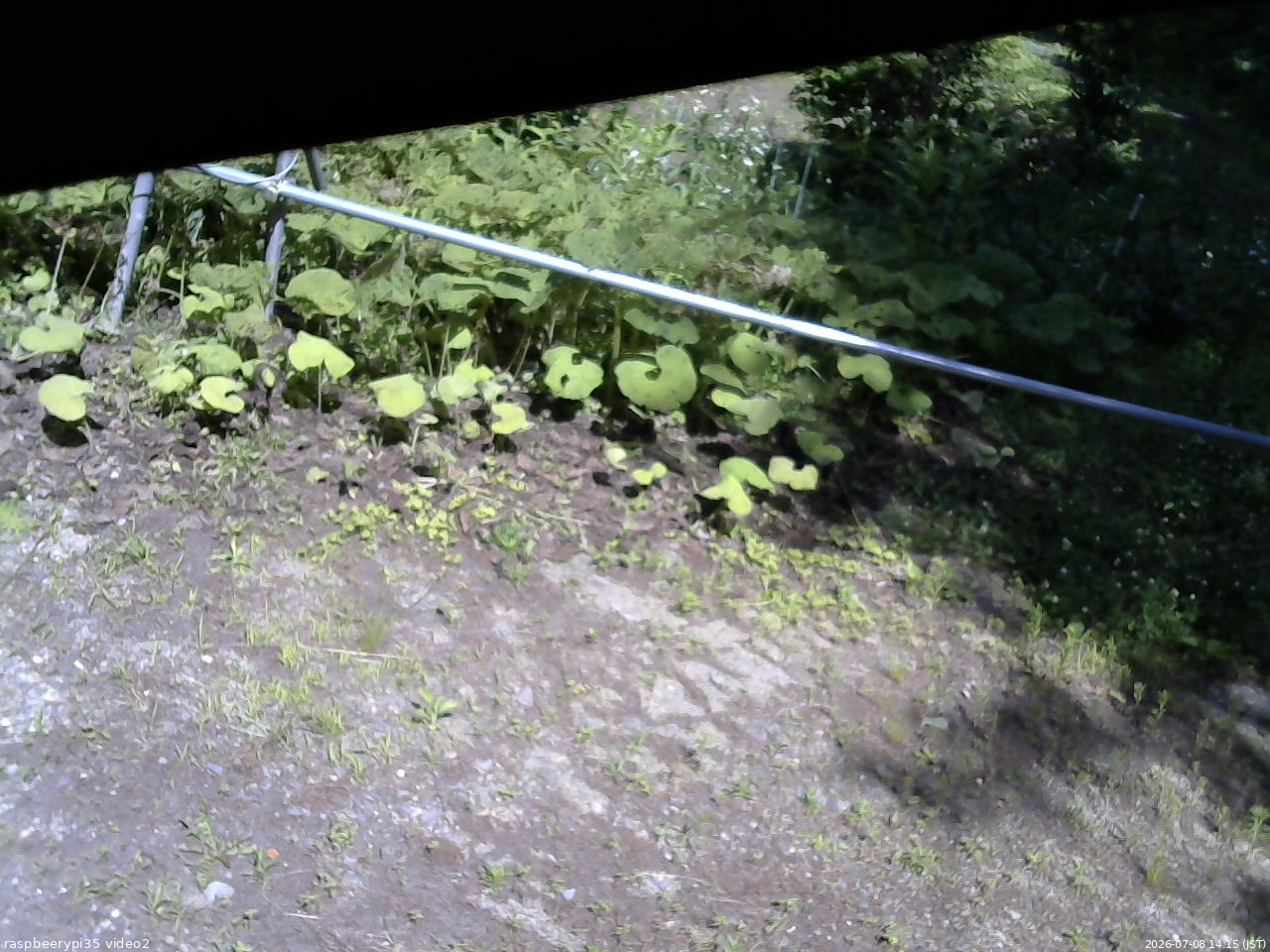 長野県菅平高原 ゆたか山荘 駐車場 2026/07/08 14:15