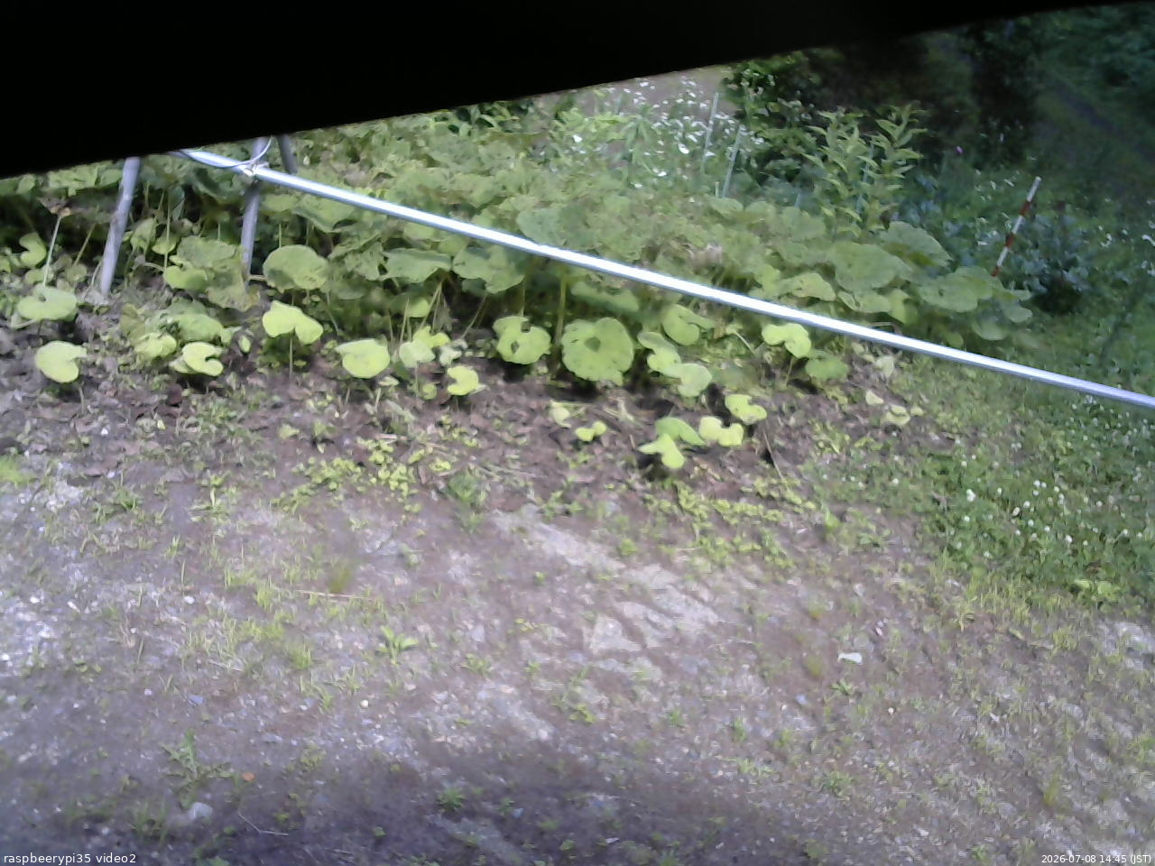長野県菅平高原 ゆたか山荘 駐車場 2026/07/08 14:45