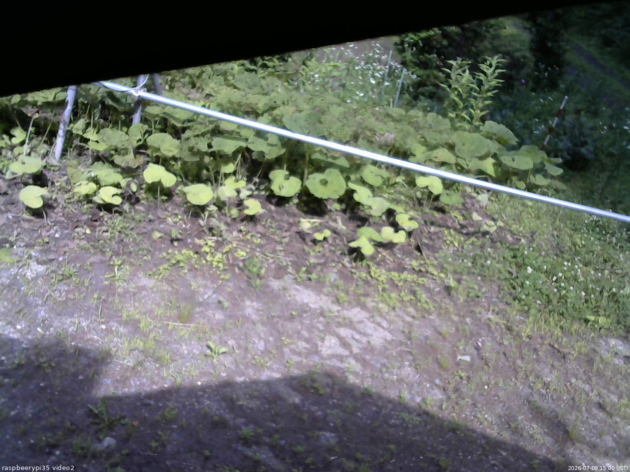 長野県菅平高原 ゆたか山荘 駐車場 2026/07/08 15:00