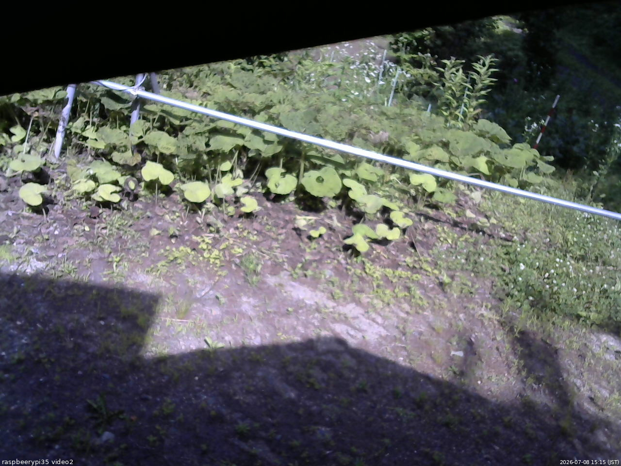 長野県菅平高原 ゆたか山荘 駐車場 2026/07/08 15:15