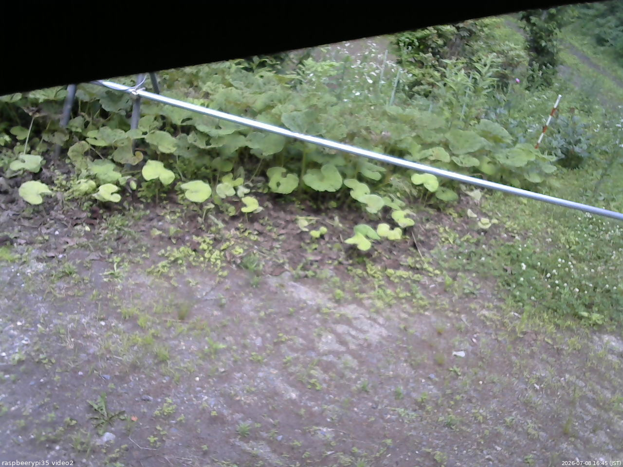 長野県菅平高原 ゆたか山荘 駐車場 2026/07/08 16:45