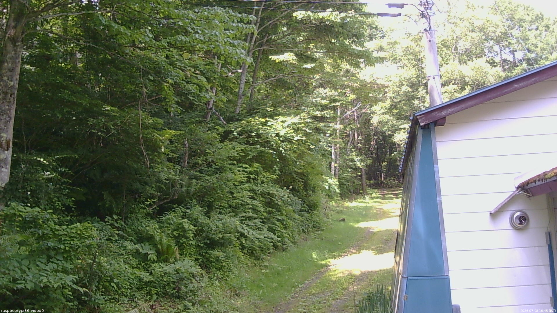 長野県菅平高原 ゆたか山荘 ゆたか山荘 2026/07/08 10:45