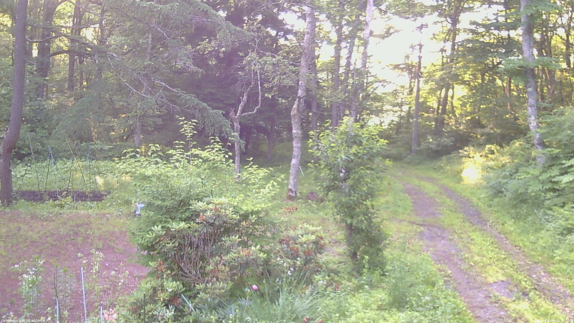 長野県菅平高原 ゆたか山荘 坂上 2026/07/08 05:30