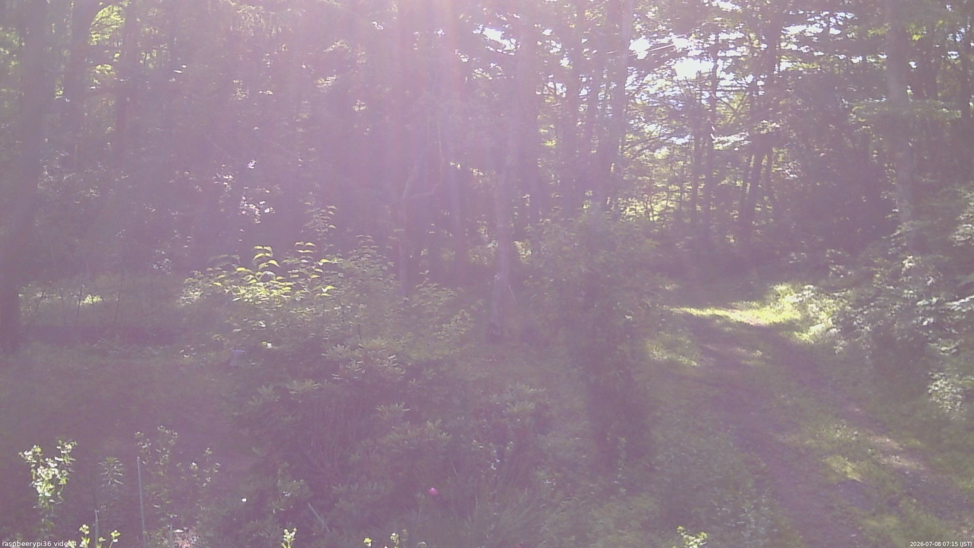 長野県菅平高原 ゆたか山荘 坂上 2026/07/08 07:15