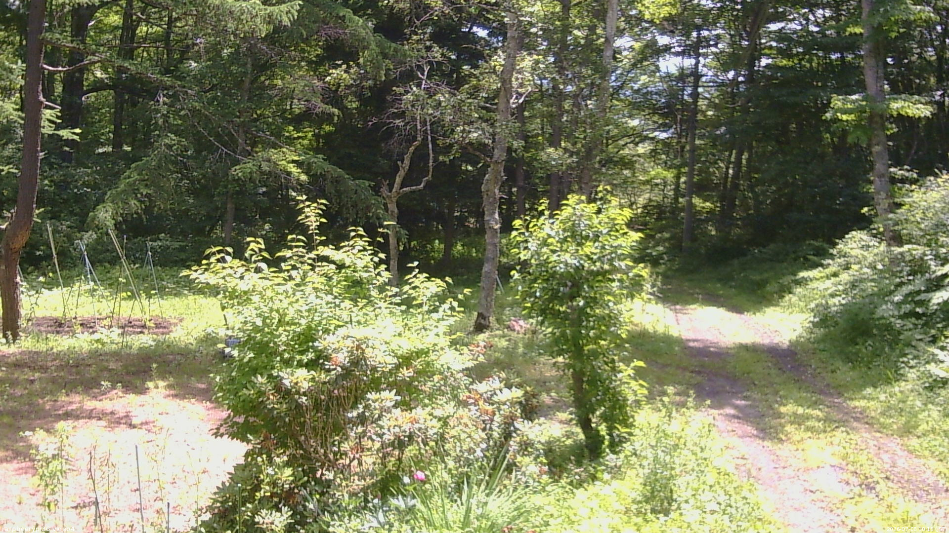 長野県菅平高原 ゆたか山荘 坂上 2026/07/08 10:15