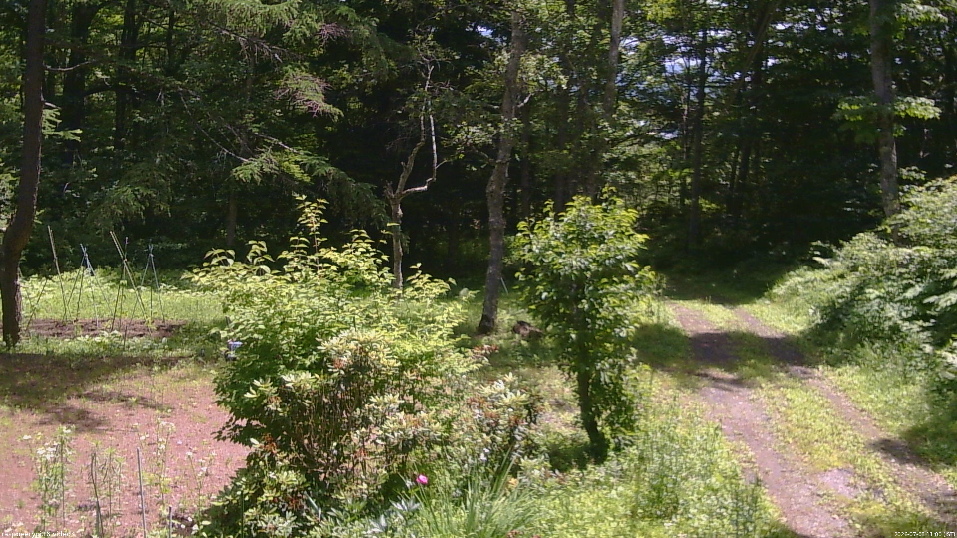 長野県菅平高原 ゆたか山荘 坂上 2026/07/08 11:00