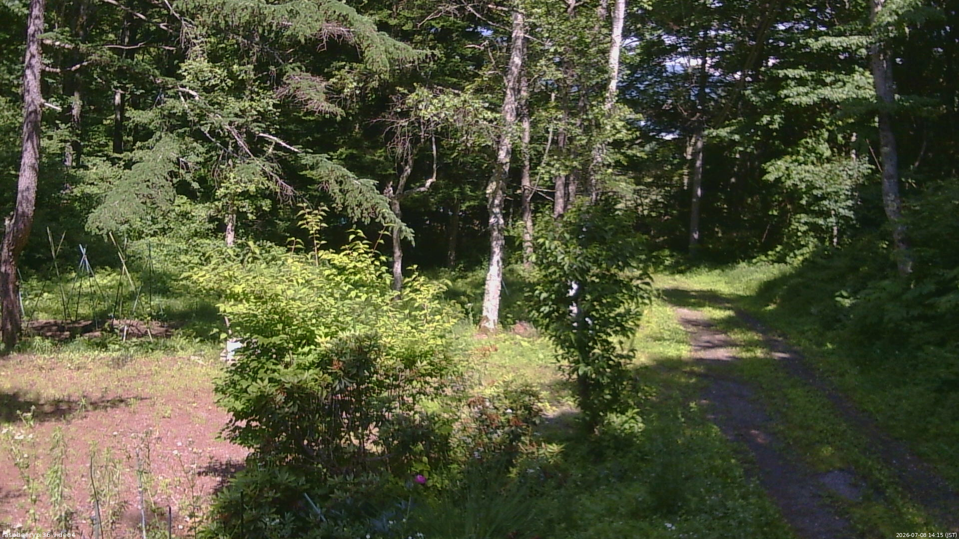 長野県菅平高原 ゆたか山荘 坂上 2026/07/08 14:15