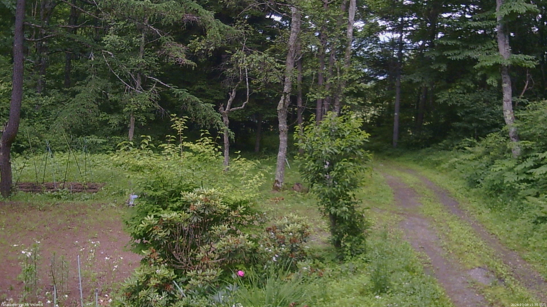 長野県菅平高原 ゆたか山荘 坂上 2026/07/08 15:30