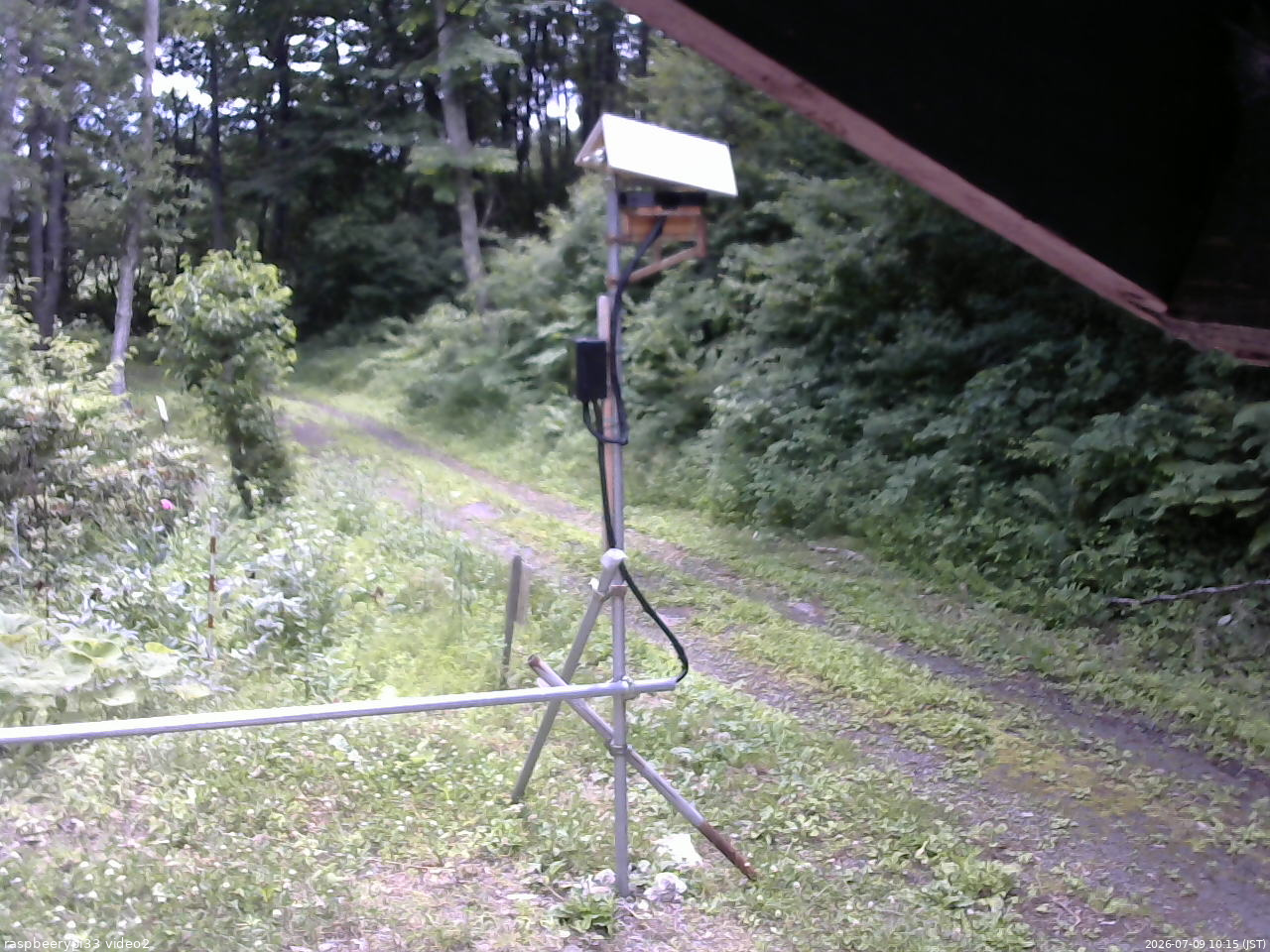 長野県菅平高原 ゆたか山荘 南側 2026/07/09 10:15