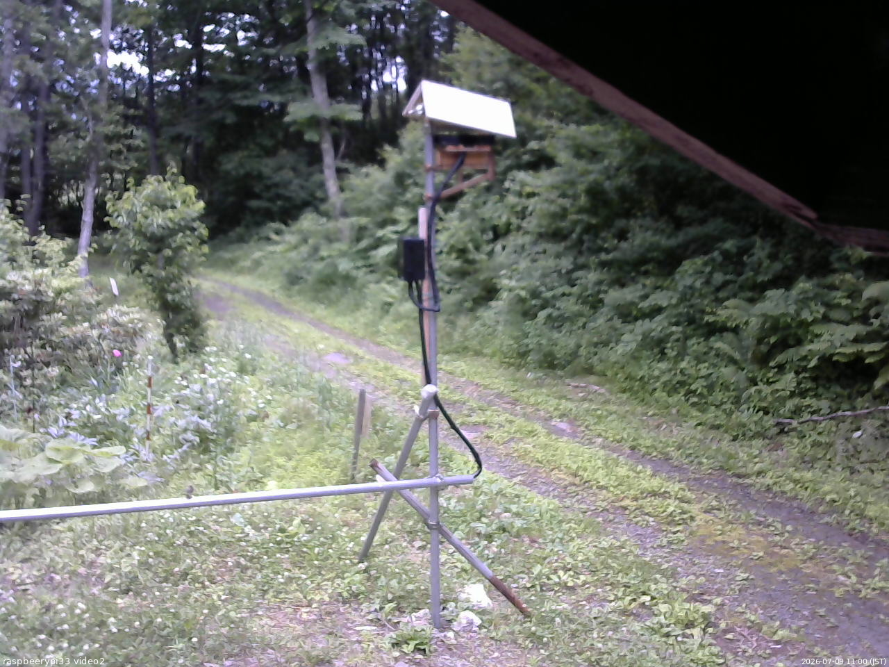 長野県菅平高原 ゆたか山荘 南側 2026/07/09 11:00