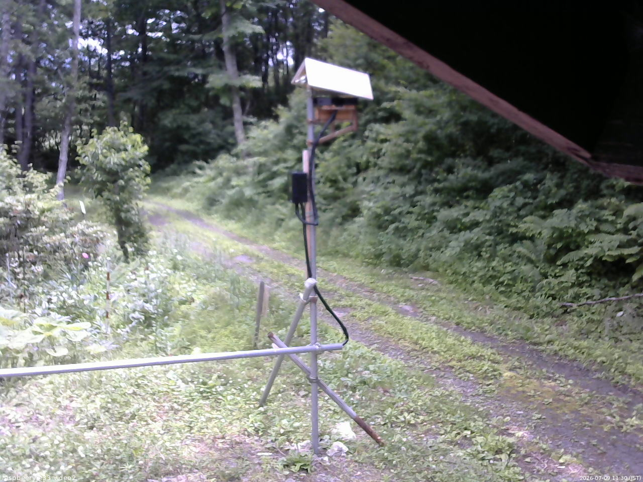 長野県菅平高原 ゆたか山荘 南側 2026/07/09 11:30