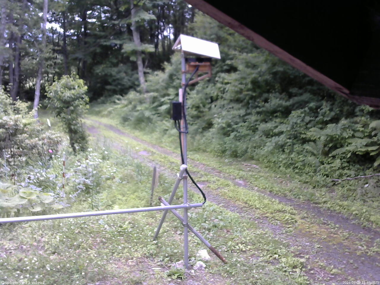 長野県菅平高原 ゆたか山荘 南側 2026/07/09 11:45