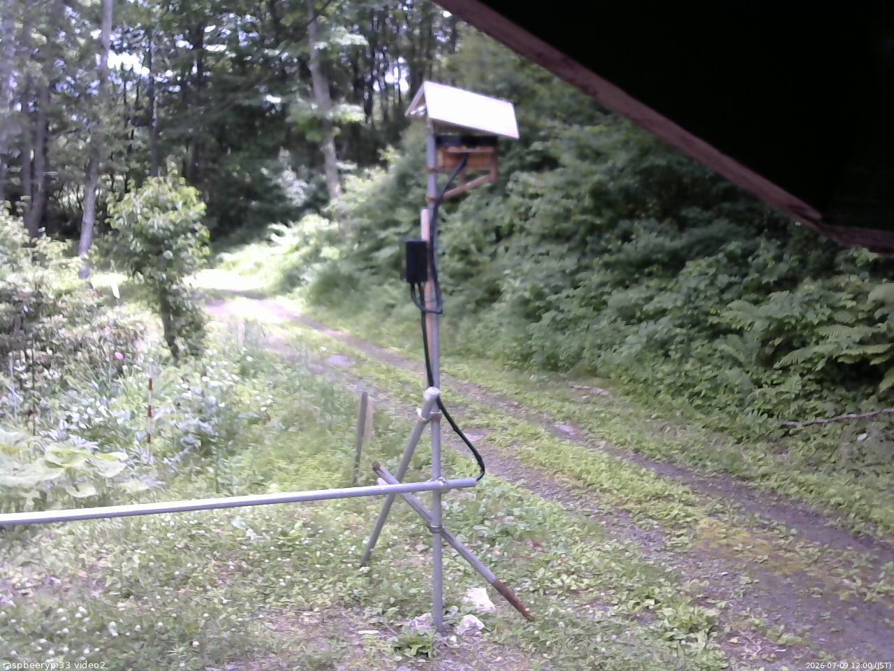 長野県菅平高原 ゆたか山荘 南側 2026/07/09 12:00