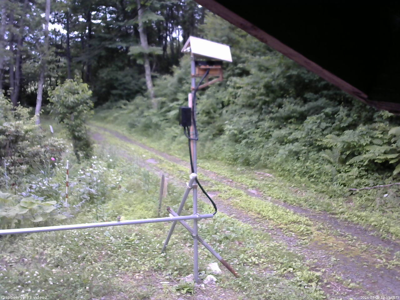 長野県菅平高原 ゆたか山荘 南側 2026/07/09 12:15