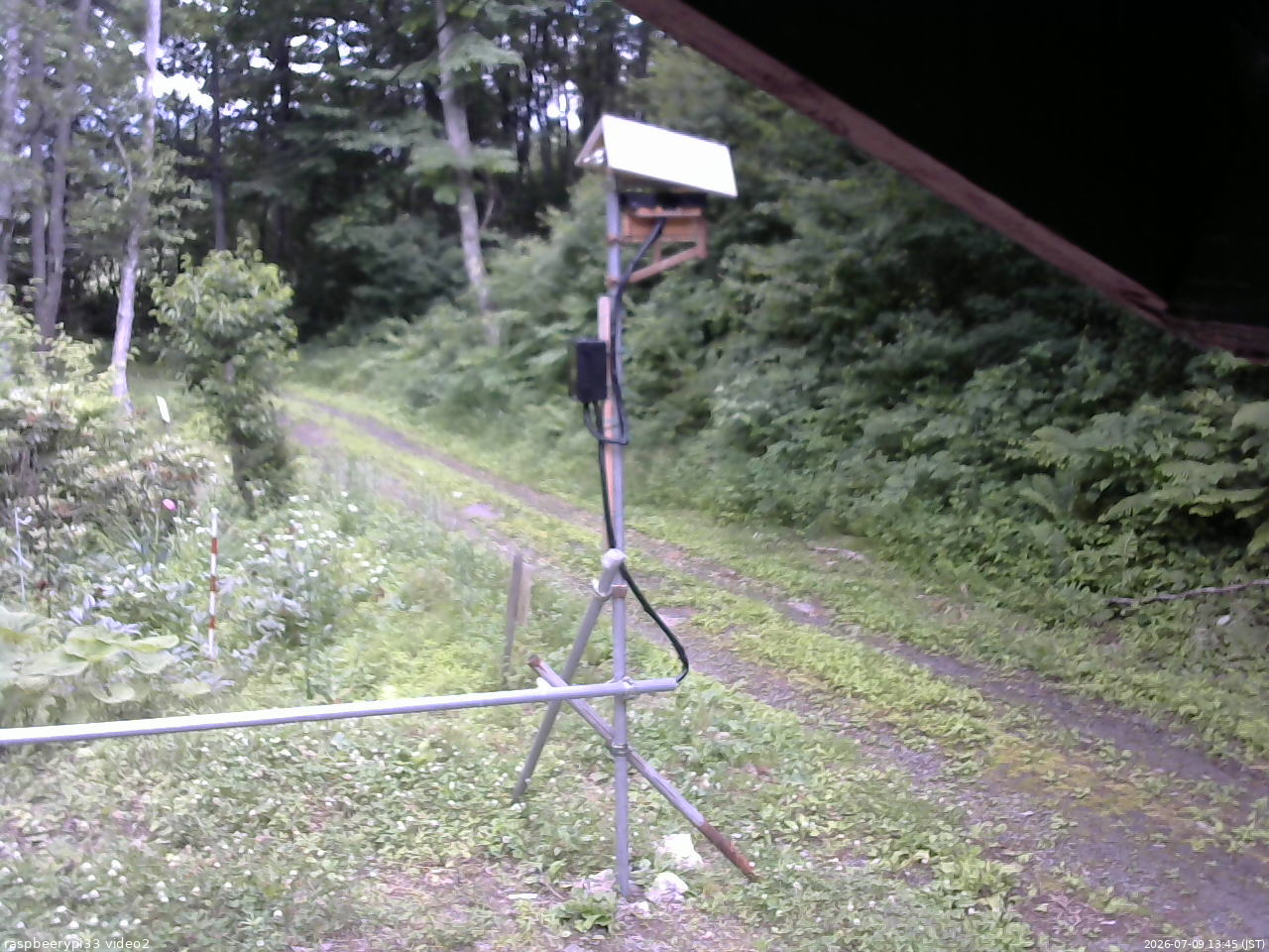 長野県菅平高原 ゆたか山荘 南側 2026/07/09 13:45