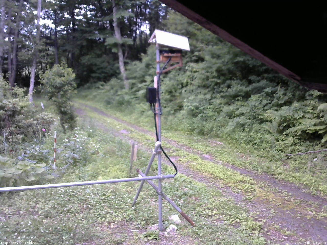 長野県菅平高原 ゆたか山荘 南側 2026/07/09 14:15