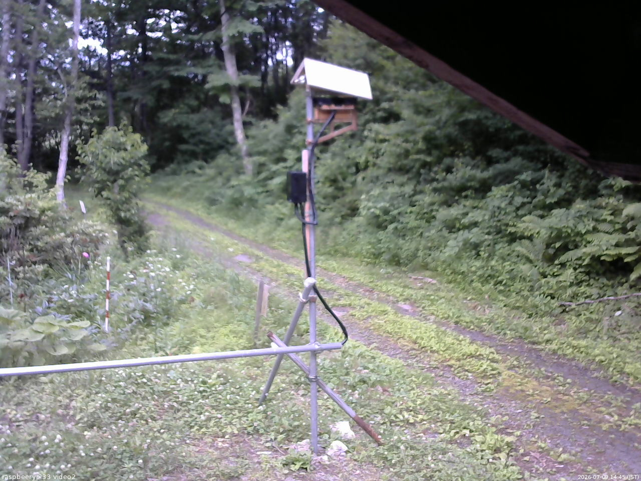 長野県菅平高原 ゆたか山荘 南側 2026/07/09 14:45